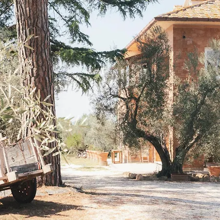 Casa Yuvi Vetralla