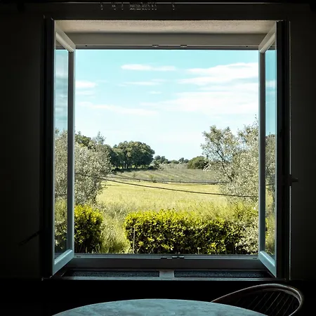 Casa Yuvi Κατάλυμα σε φάρμα Vetralla