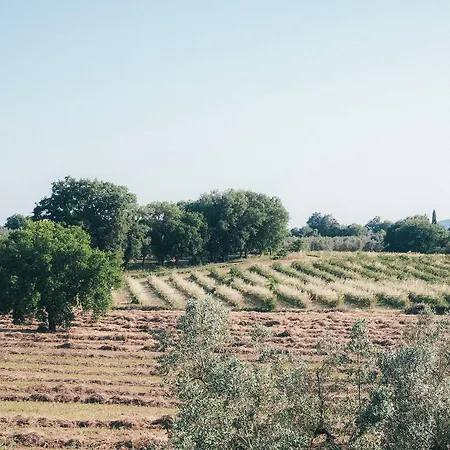 Casa Yuvi Κατάλυμα σε φάρμα
