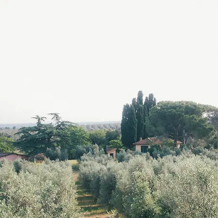 Casa Yuvi Vetralla